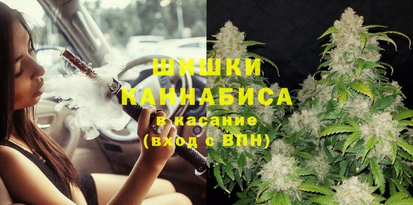 мдпв Богданович