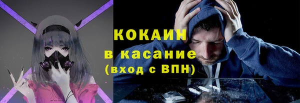 мдпв Богданович