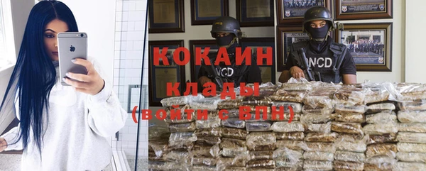 мдпв Богданович
