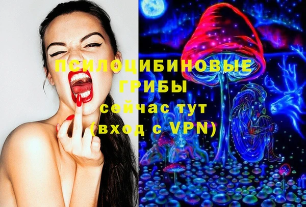 мдпв Богданович